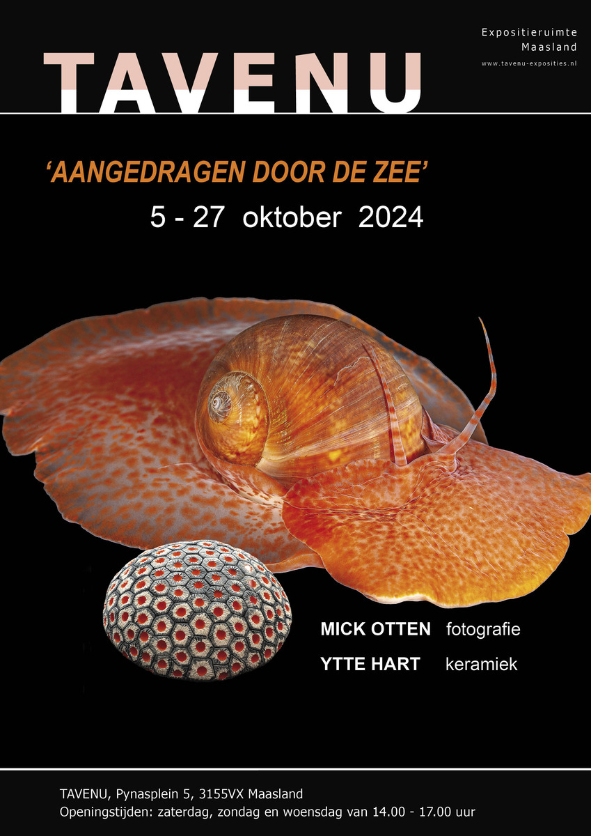 voorkant oktober 2024 Ytte Hart Mick Otten